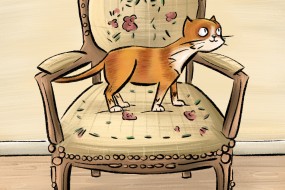 Cat on a Chair