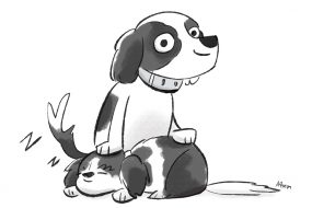 Japanese Chin & American Spaniel Dogs